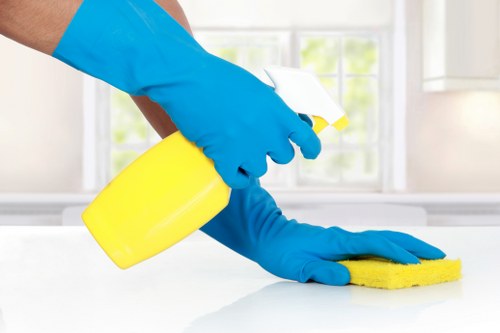 Secure Carpet Cleaners Watford payment screen with card and online payment options