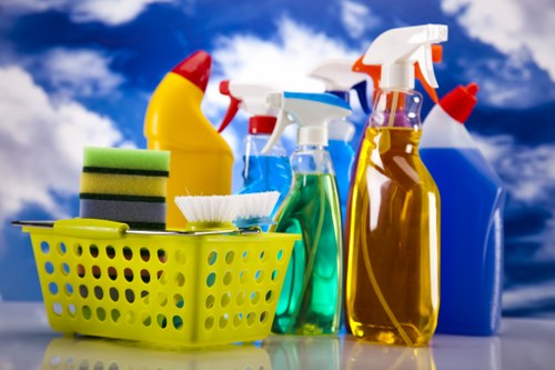Professional carpet cleaning assessment before starting work
