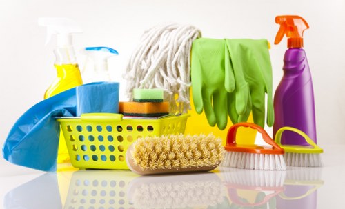 Professional stain removal for carpets in Watford homes