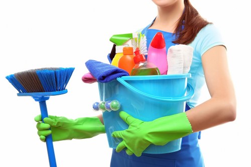 Professional steam carpet cleaning for a Watford home interior