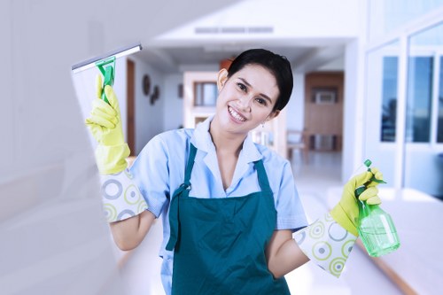 Removing stains and odours from rugs in Watford
