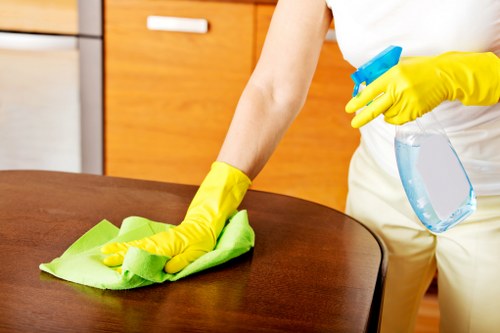 Careful stain removal service for homes and businesses in Watford